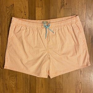 6" stretch swim trunk